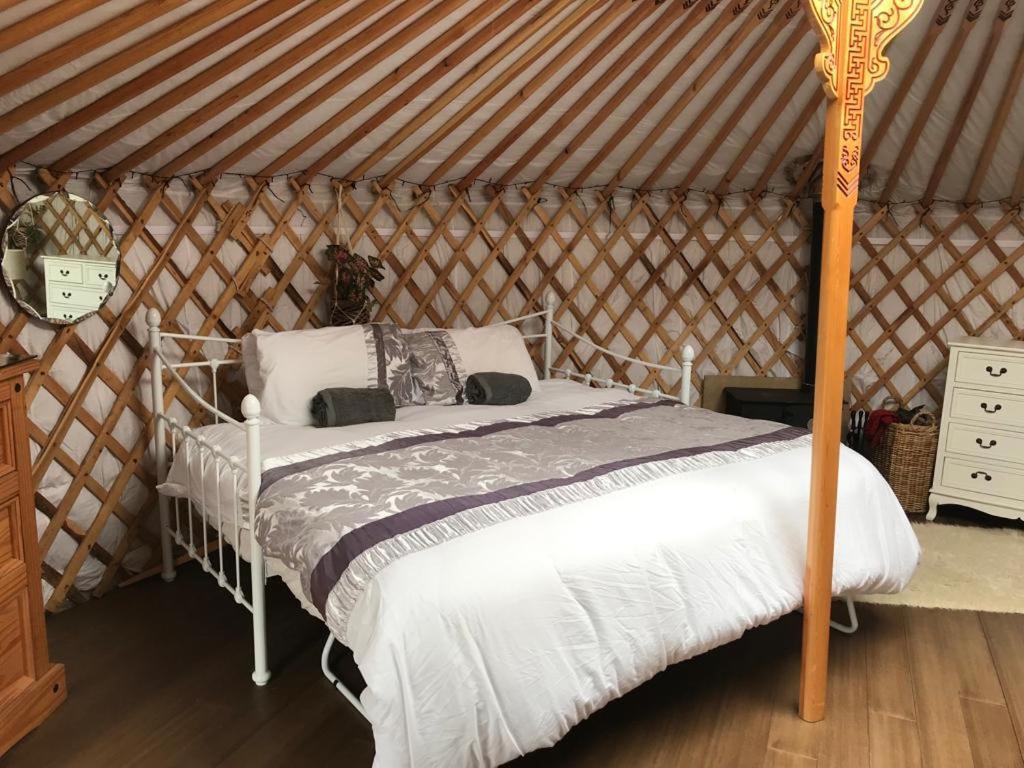 Buzzard Holt Hosting Hotel บักกิงแฮม ภายนอก รูปภาพ